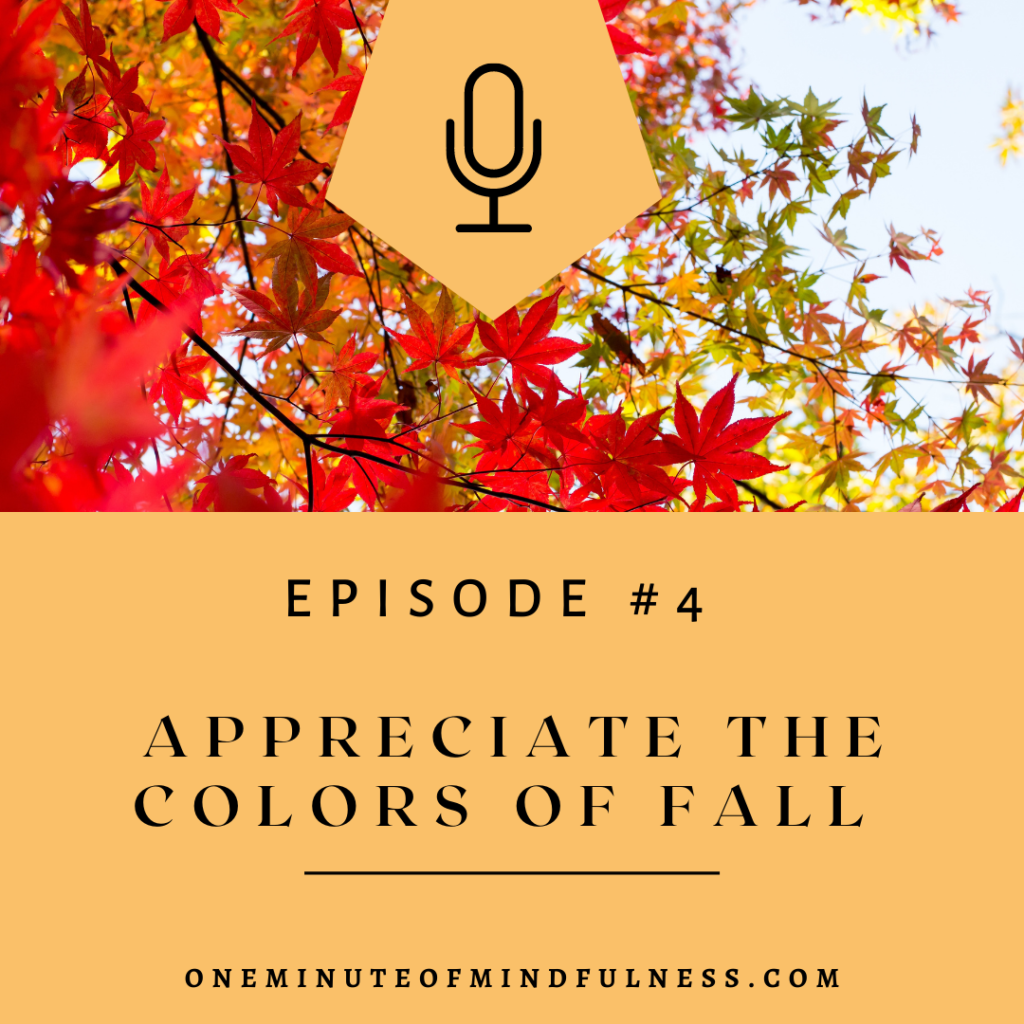 Appreciate the colors of fall