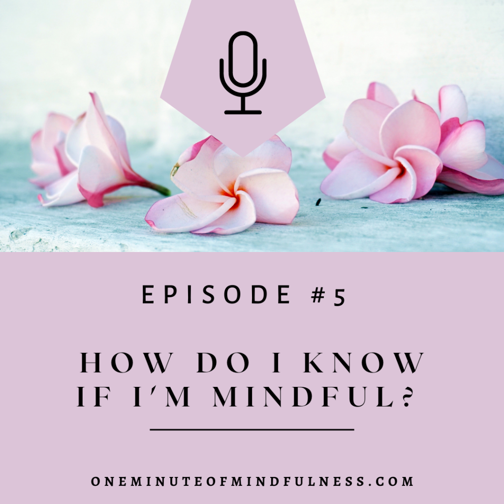How do I know if I'm mindful?