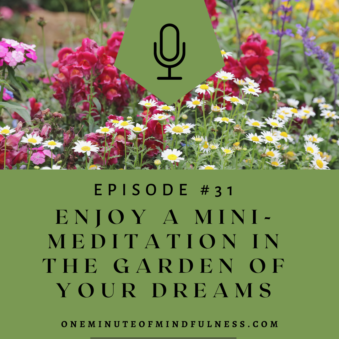 Enjoy a Mini-Meditation in the garden of your dreams
